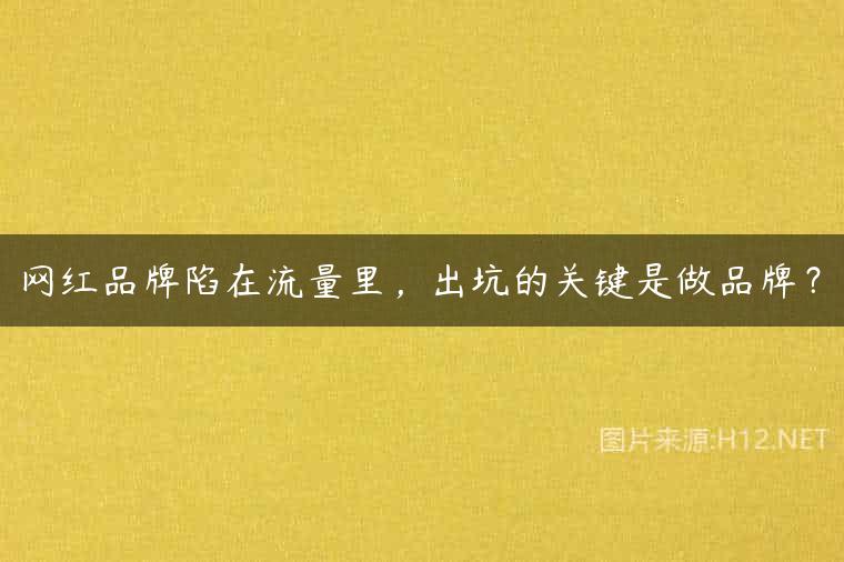 网红品牌陷在流量里，出坑的关键是做品牌？