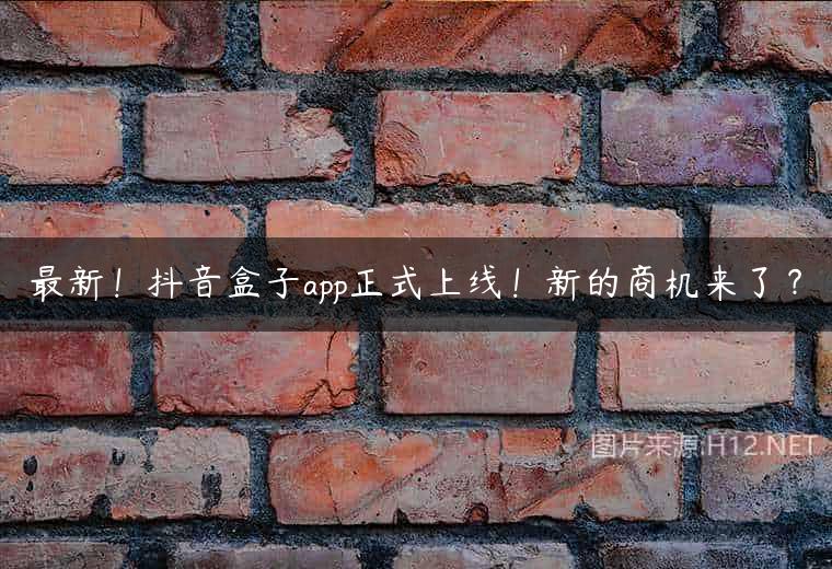 最新！抖音盒子app正式上线！新的商机来了？