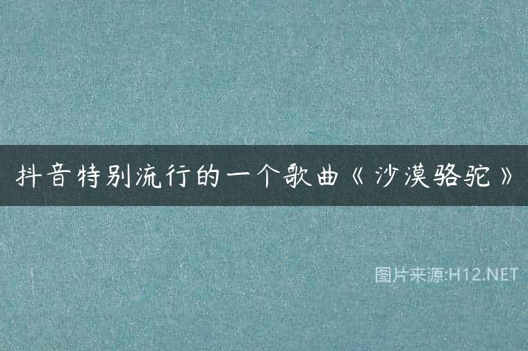 抖音特别流行的一个歌曲《沙漠骆驼》