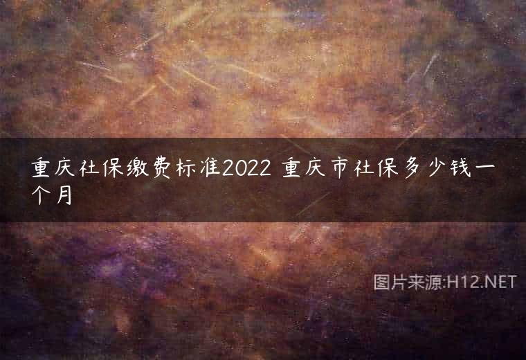 重庆社保缴费标准2022 重庆市社保多少钱一个月