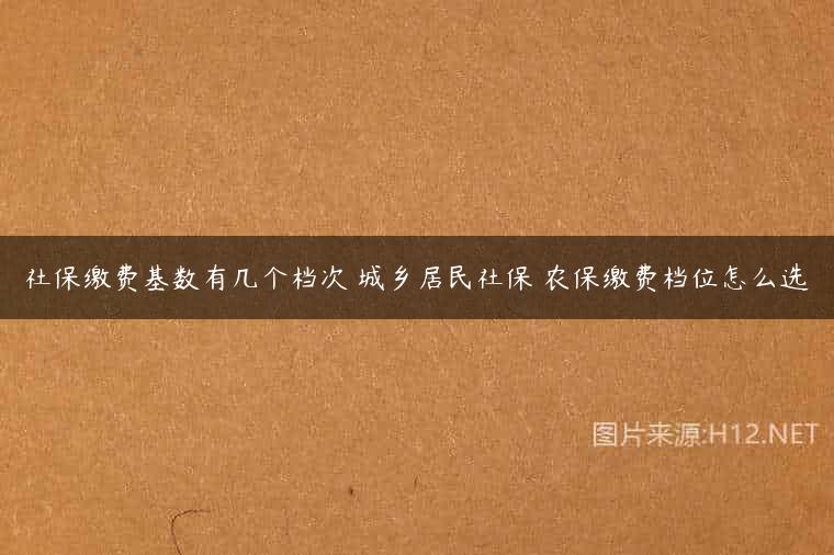 社保缴费基数有几个档次 城乡居民社保 农保缴费档位怎么选