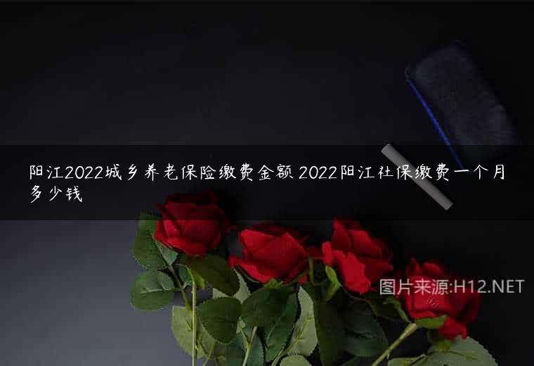阳江2022城乡养老保险缴费金额 2022阳江社保缴费一个月多少钱