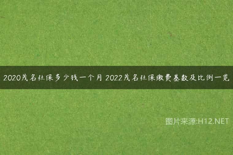 2020茂名社保多少钱一个月 2022茂名社保缴费基数及比例一览