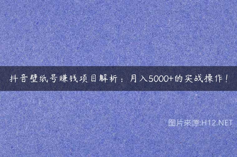 抖音壁纸号赚钱项目解析：月入5000+的实战操作！