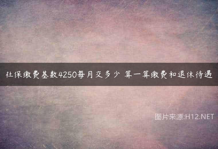 社保缴费基数4250每月交多少 算一算缴费和退休待遇