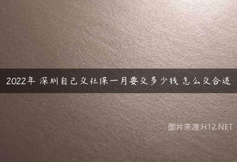 2022年 深圳自己交社保一月要交多少钱 怎么交合适