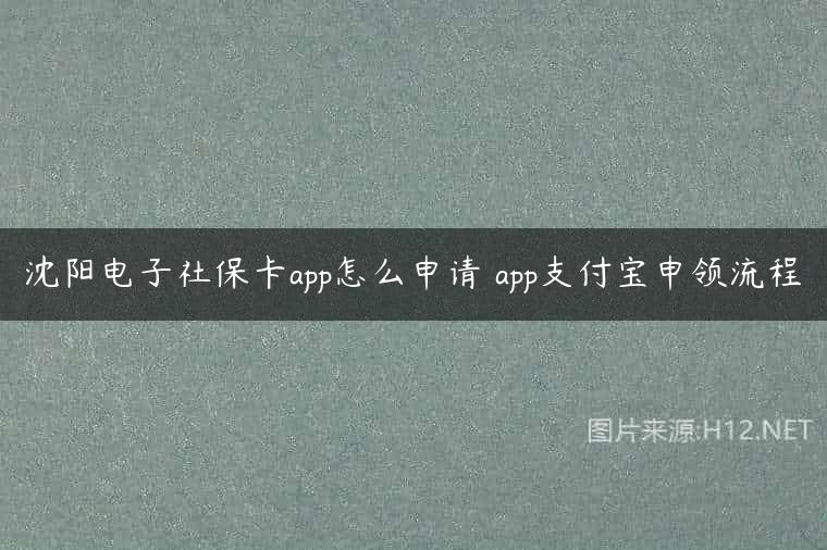 沈阳电子社保卡app怎么申请 app支付宝申领流程