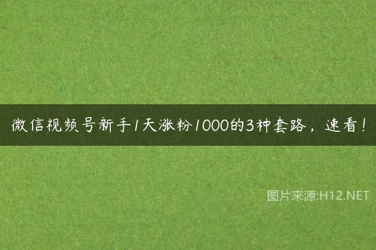 微信视频号新手1天涨粉1000的3种套路，速看！