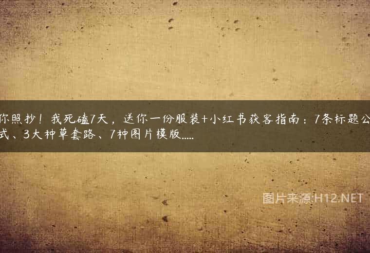 你照抄！我死磕7天，送你一份服装+小红书获客指南：7条标题公式、3大种草套路、7种图片模版…..