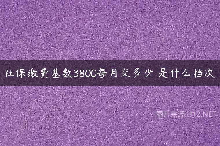 社保缴费基数3800每月交多少 是什么档次