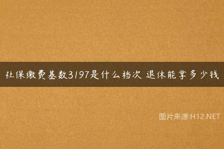 社保缴费基数3197是什么档次 退休能拿多少钱