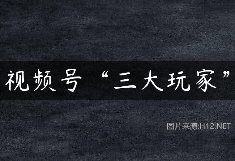 视频号“三大玩家”