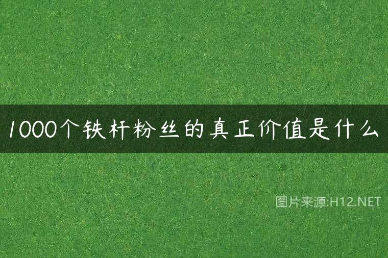 1000个铁杆粉丝的真正价值是什么