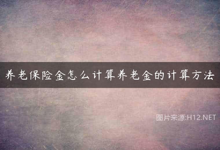养老保险金怎么计算养老金的计算方法