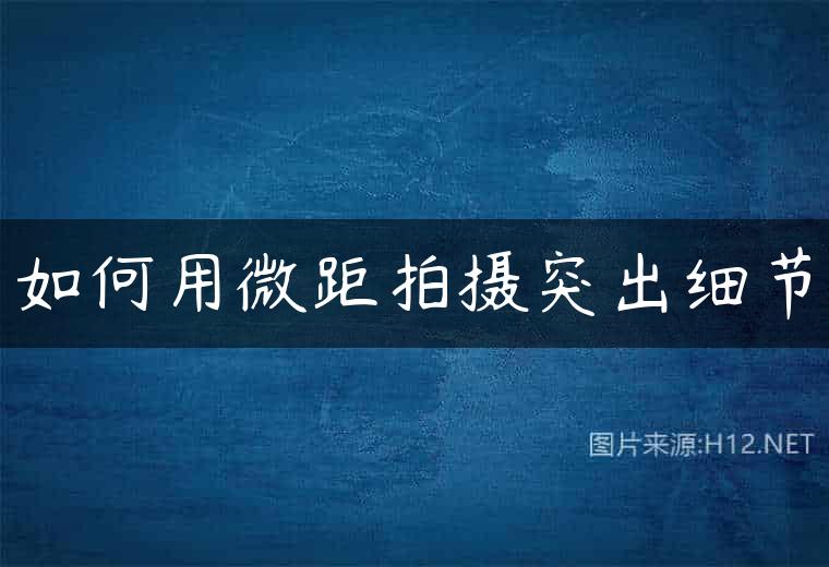 如何用微距拍摄突出细节