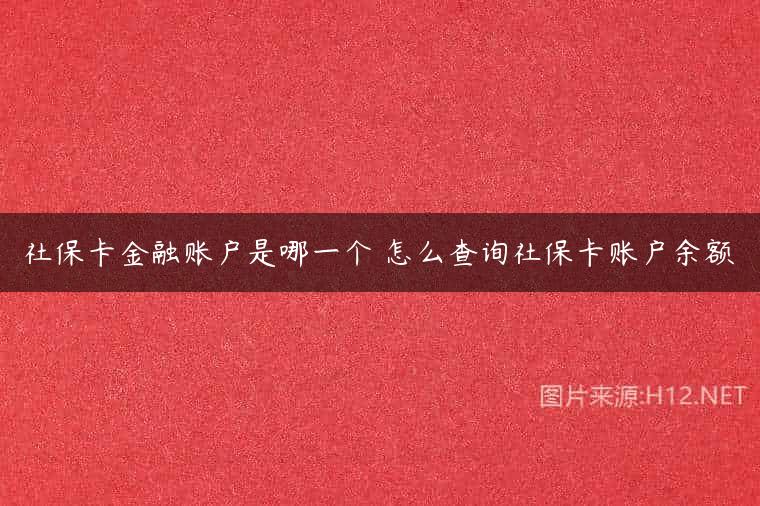 社保卡金融账户是哪一个 怎么查询社保卡账户余额