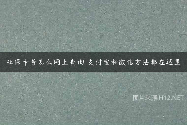 社保卡号怎么网上查询 支付宝和微信方法都在这里