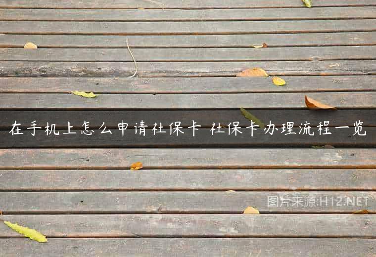在手机上怎么申请社保卡 社保卡办理流程一览