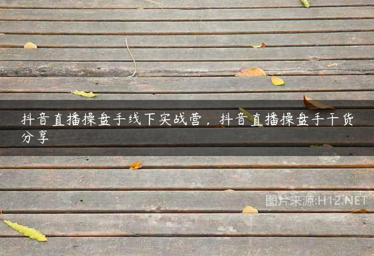 抖音直播操盘手线下实战营，抖音直播操盘手干货分享