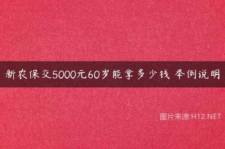 新农保交5000元60岁能拿多少钱 举例说明