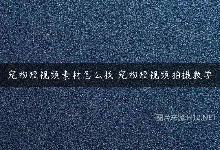宠物短视频素材怎么找 宠物短视频拍摄教学