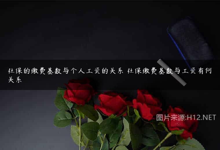 社保的缴费基数与个人工资的关系 社保缴费基数与工资有何关系