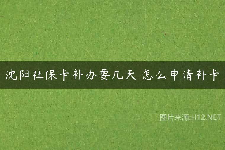 沈阳社保卡补办要几天 怎么申请补卡