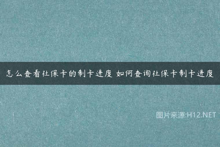怎么查看社保卡的制卡进度 如何查询社保卡制卡进度