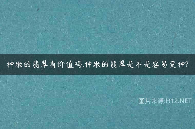 种嫩的翡翠有价值吗,种嫩的翡翠是不是容易变种?
