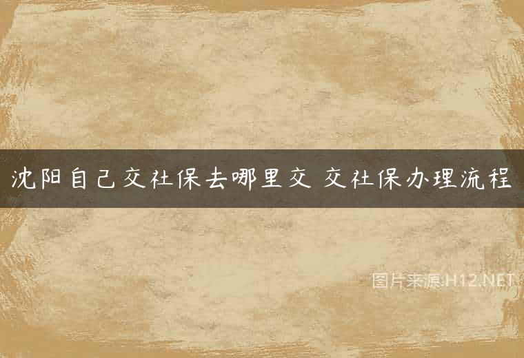 沈阳自己交社保去哪里交 交社保办理流程