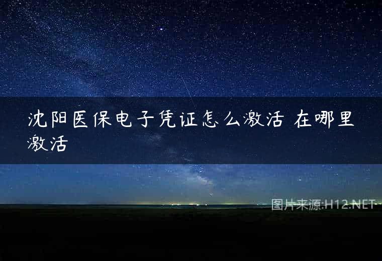 沈阳医保电子凭证怎么激活 在哪里激活