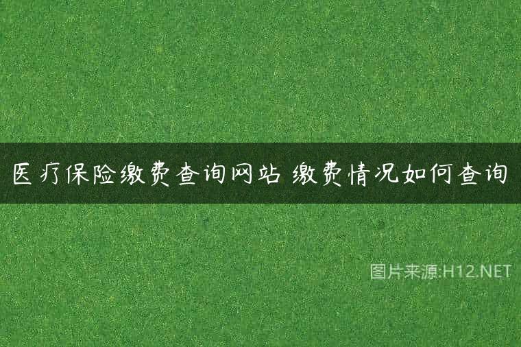 医疗保险缴费查询网站 缴费情况如何查询