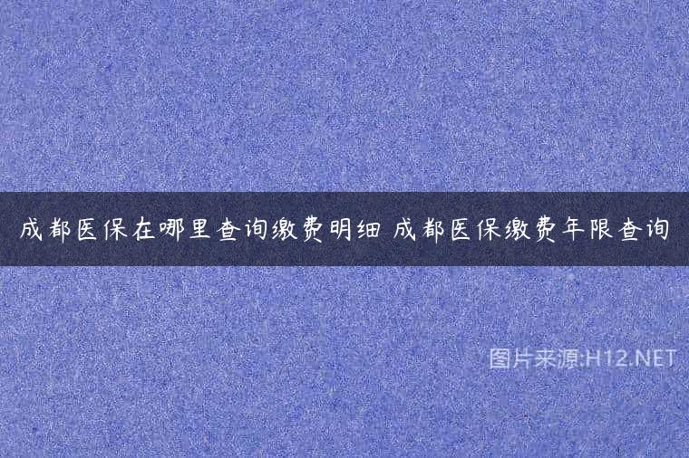 成都医保在哪里查询缴费明细 成都医保缴费年限查询