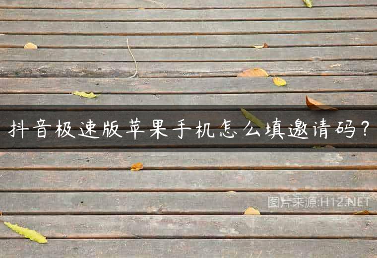 抖音极速版苹果手机怎么填邀请码？