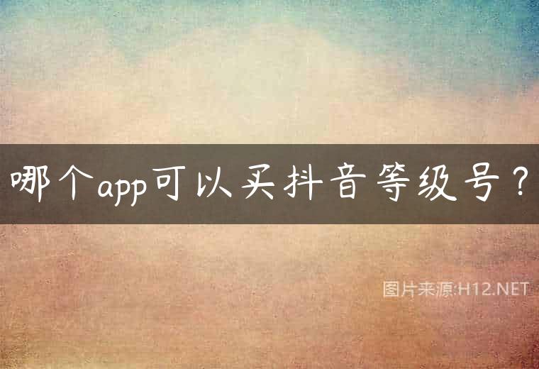 哪个app可以买抖音等级号？