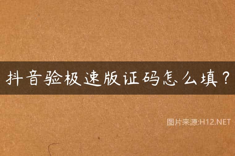 抖音验极速版证码怎么填？
