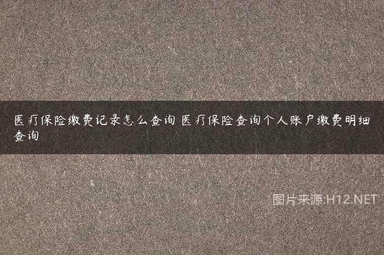 医疗保险缴费记录怎么查询 医疗保险查询个人账户缴费明细查询
