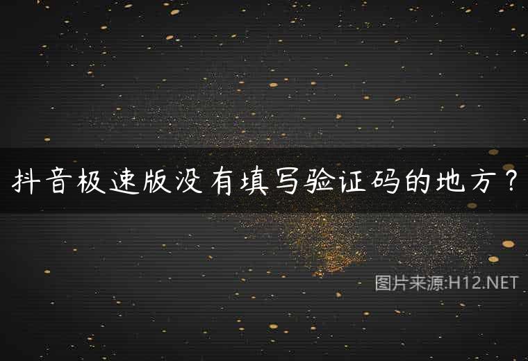 抖音极速版没有填写验证码的地方？