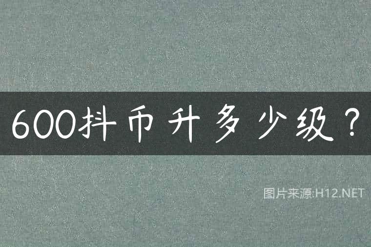 600抖币升多少级？