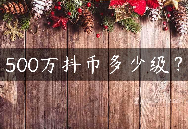 500万抖币多少级？