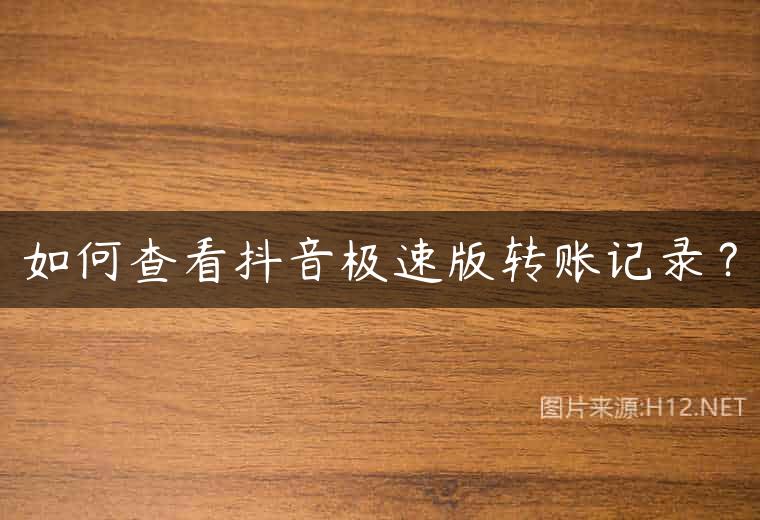 如何查看抖音极速版转账记录？
