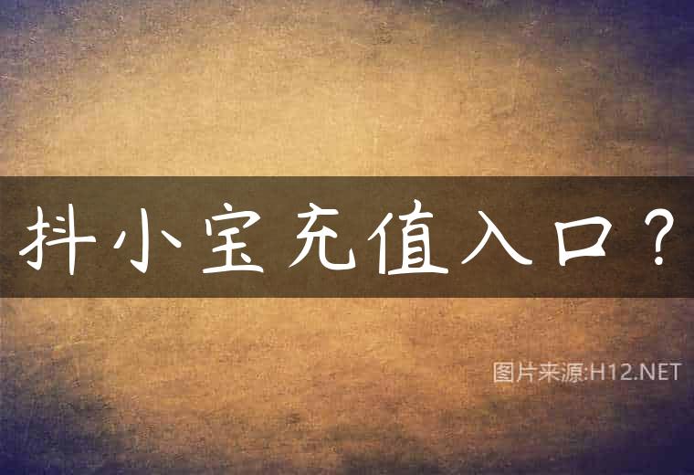 抖小宝充值入口？