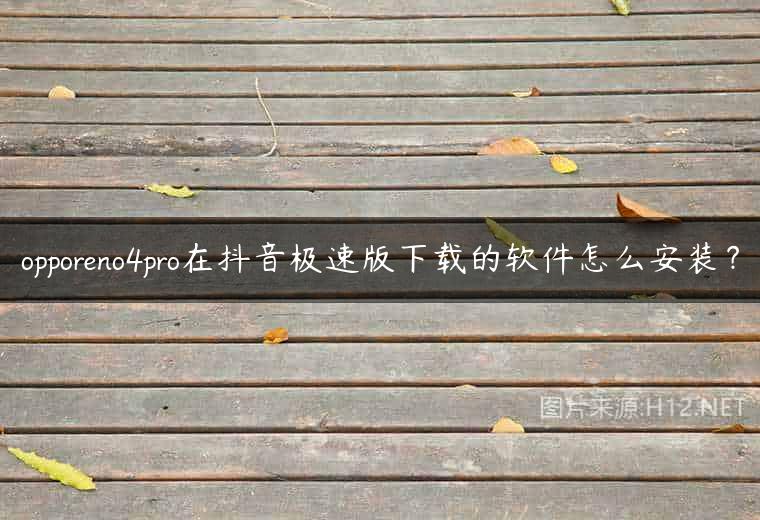 opporeno4pro在抖音极速版下载的软件怎么安装？