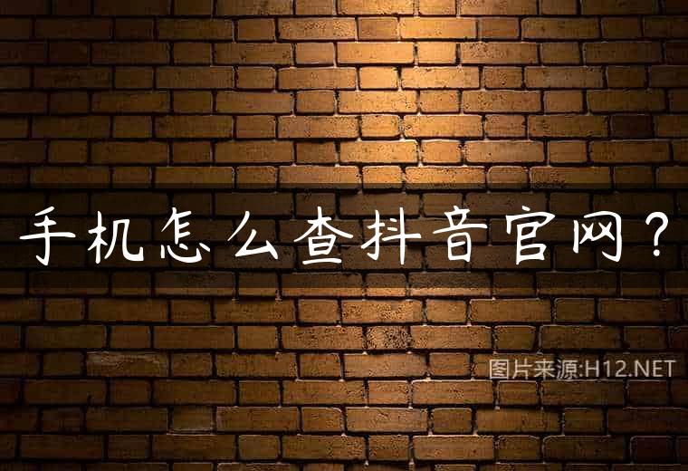 手机怎么查抖音官网？