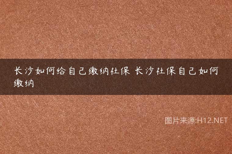 长沙如何给自己缴纳社保 长沙社保自己如何缴纳