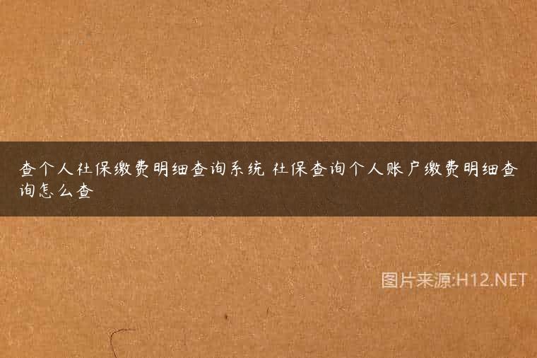 查个人社保缴费明细查询系统 社保查询个人账户缴费明细查询怎么查