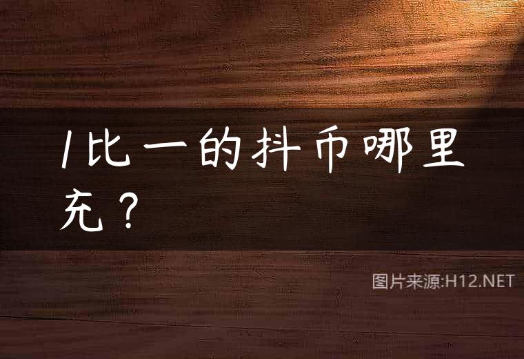 1比一的抖币哪里充？