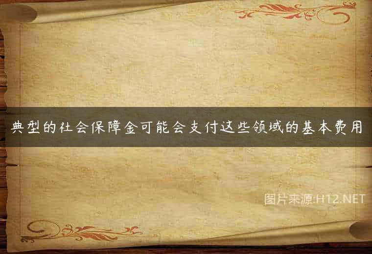 典型的社会保障金可能会支付这些领域的基本费用