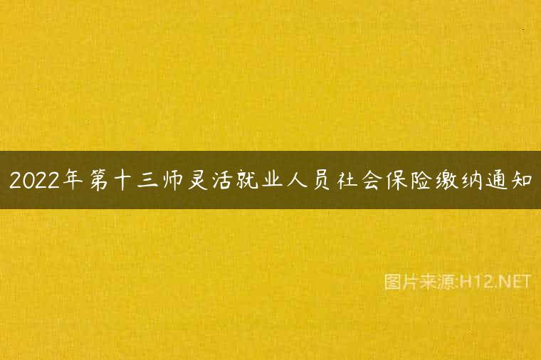 2022年第十三师灵活就业人员社会保险缴纳通知