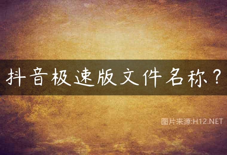 抖音极速版文件名称？